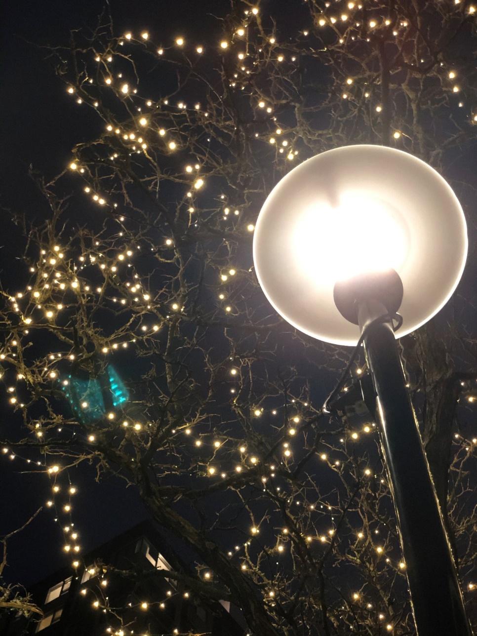 Looking upwards at night time into twinkle lights strung in a leafless tree and a street lamp.